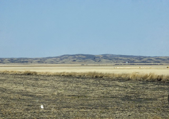 080426_078_trip_to_arcola_prairie