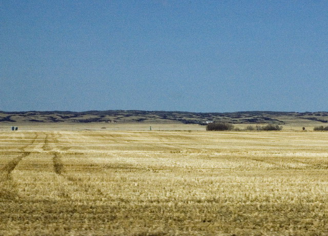 080426_091_from_arcola_to_moosemountain