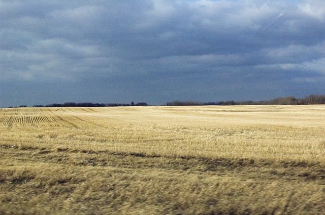080426_129_back_to_regina