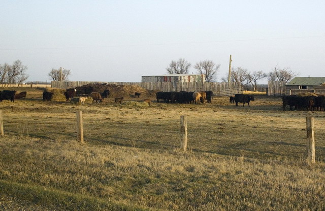080426_151_back_to_regina