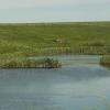 080622_02_prairie