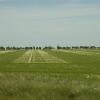 080622_03_prairie