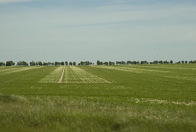 080622_03_prairie