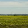 080622_05_prairie