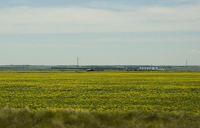 080622_05_prairie