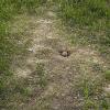 080622_52_reginabeach
