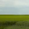 080622_86_prairie