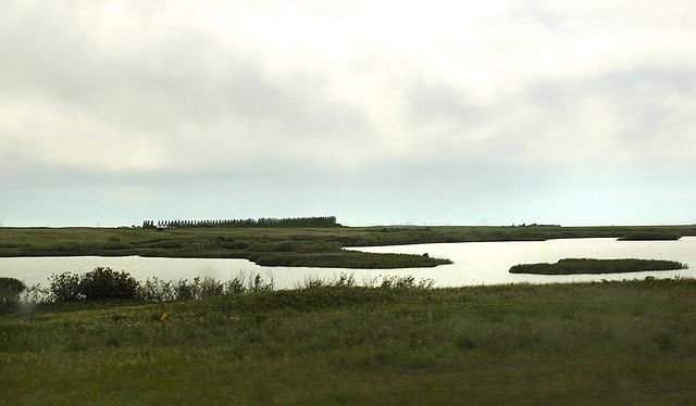 080622_88_prairie