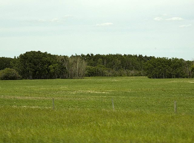 080622_88b_93_prairie
