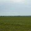 080622_88f_98_prairie