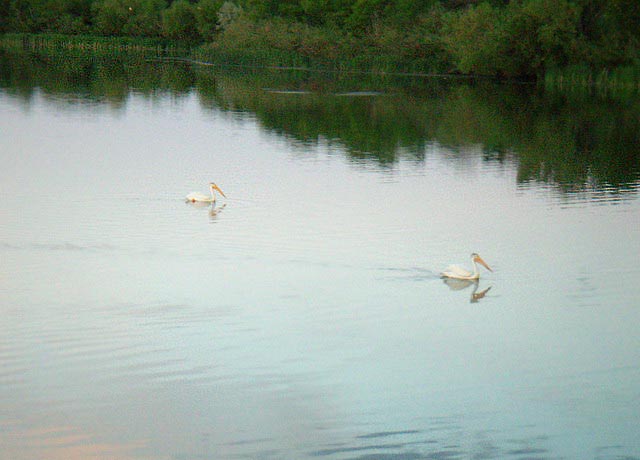 080625_20_summernightwascana