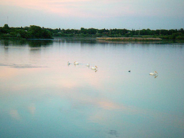 080625_23_summernightwascana