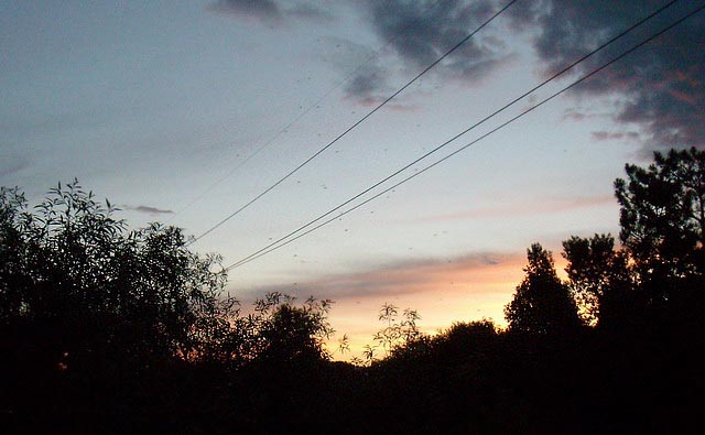 080625_28_summernightwascana