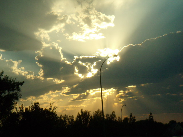 080801_buffalodays21