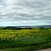 080803_09_wakaw
