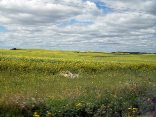 080803_11_highway2