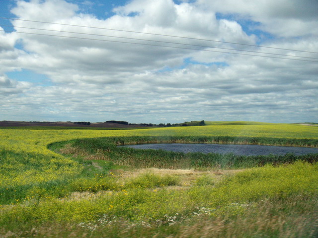080803_12_highway2