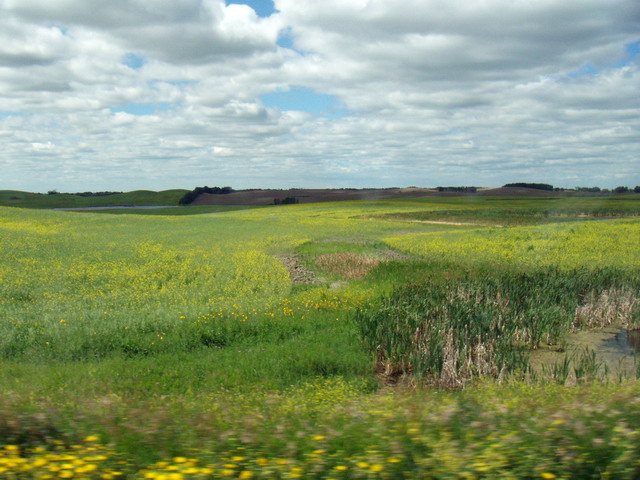 080803_13_highway2