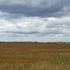 080904_03_prairie