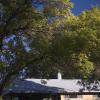 081003_5_street