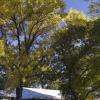 081003_6_street