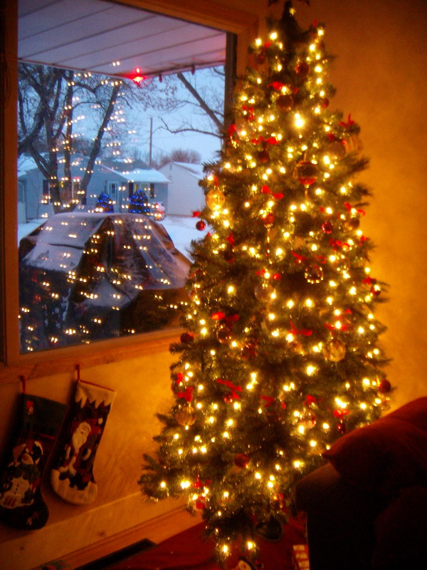 081207_03_xmasdecorations