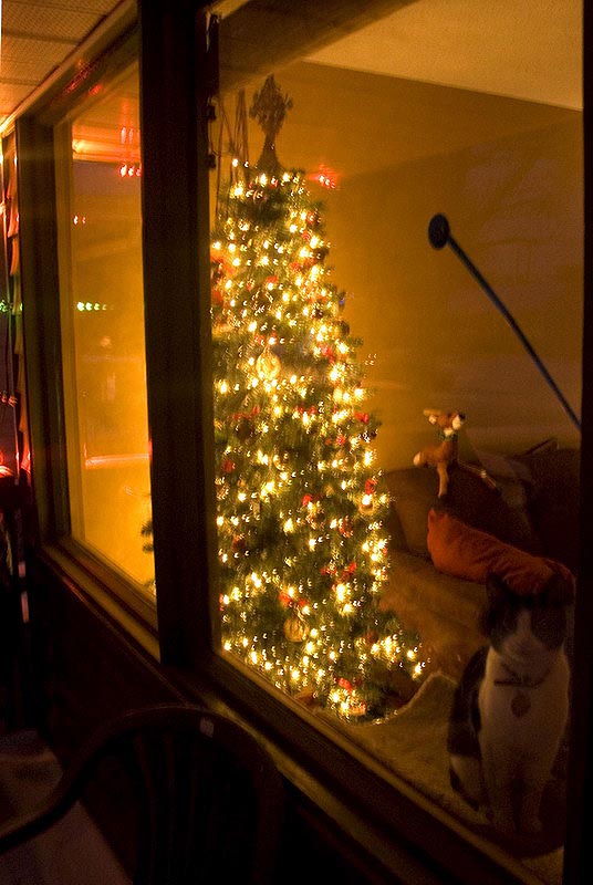 081211_11_xmastree