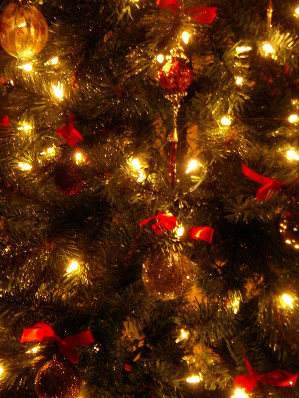 081211_13_xmastree