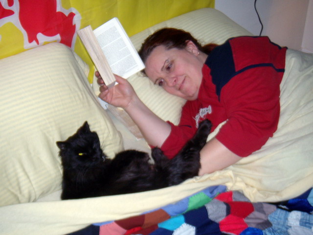 080303_1_catbed