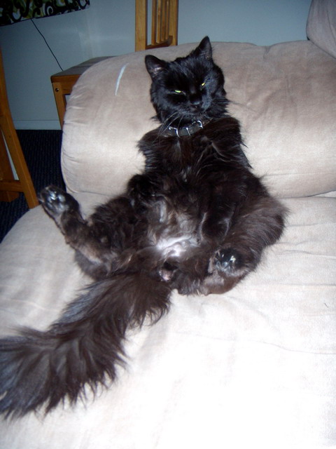 080320_1_spooky