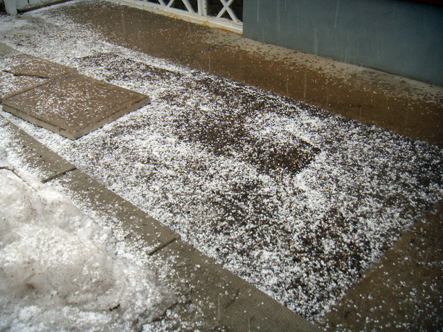 080328_2552_hail