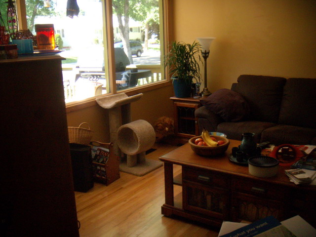 080802_house1