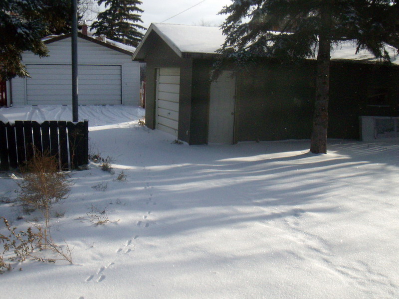 081208_02_winter