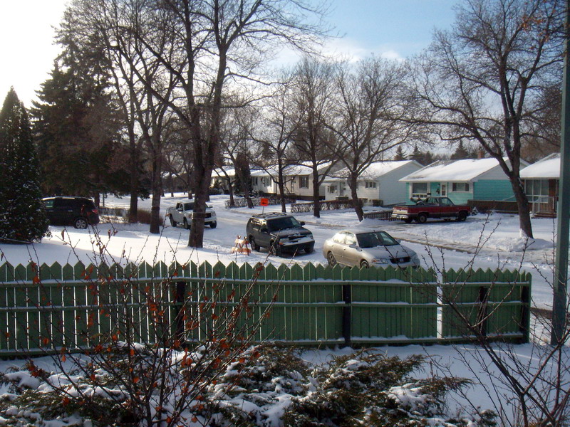 081208_05_winter