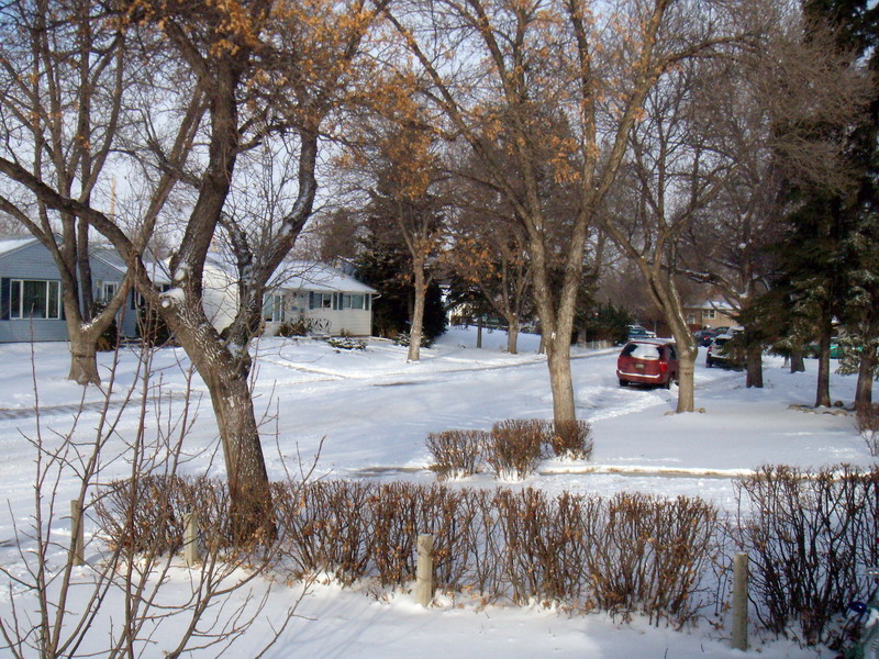 081208_06_winter