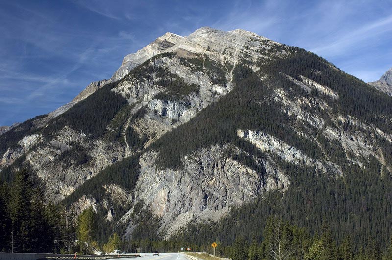080914_011_yoho