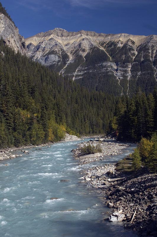 080914_013_yoho