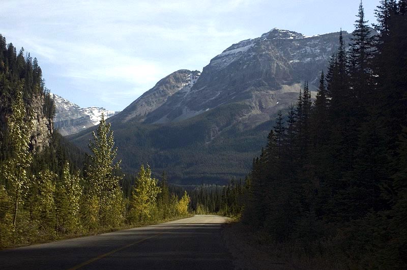 080914_048_yoho