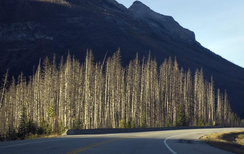 080914_095_kootenay