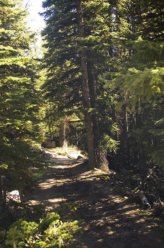 080915_048_3lakeagnes_trail