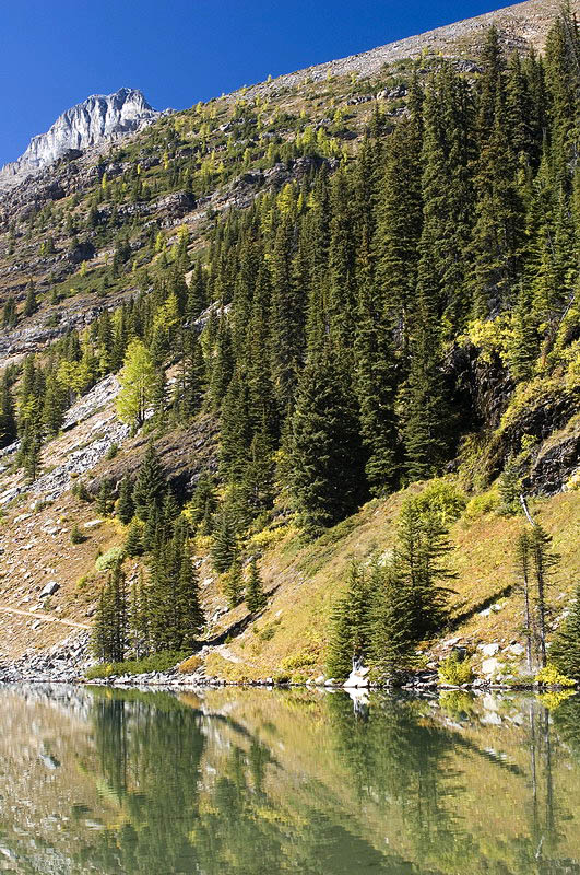 080915_051_lakeagnes_trail