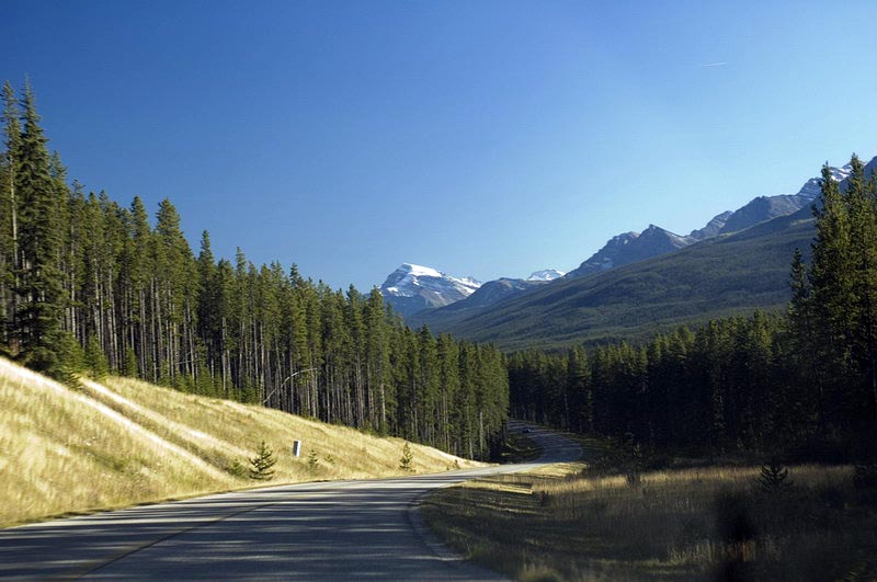 080915_069_bowvalleyparkway