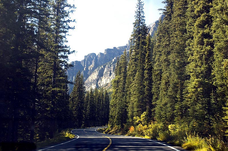 080917_005_valleytenpeaks