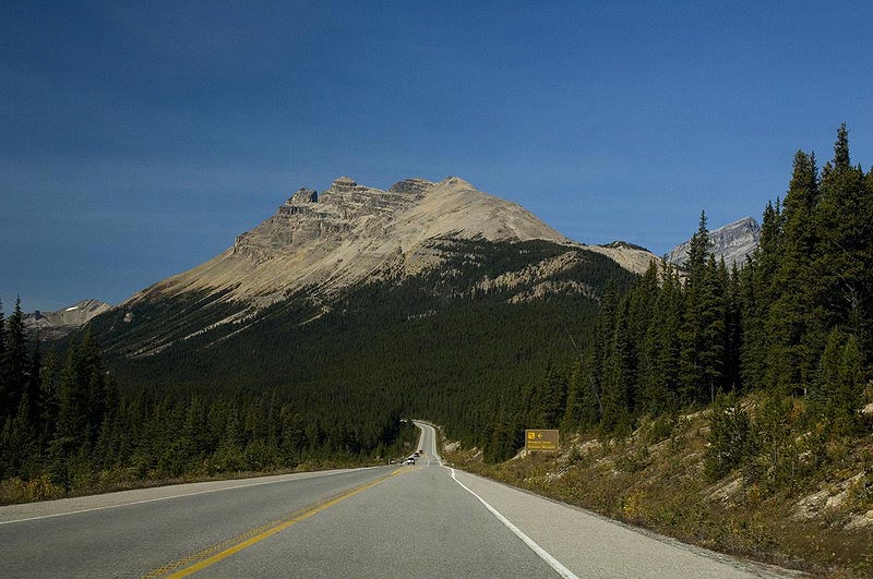 080917_022_icefieldsparkway