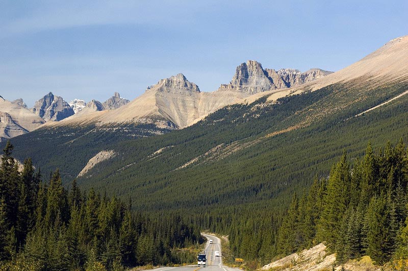 080917_067_icefieldsparkway
