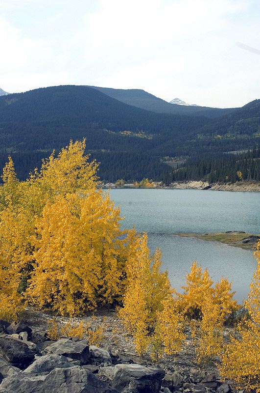 080918_18_near_bighorndam