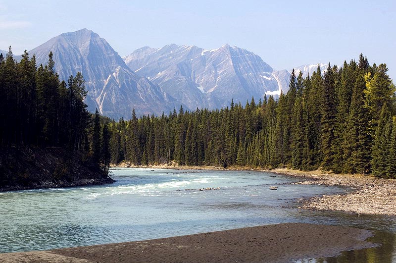080919_036_icefieldsparkway