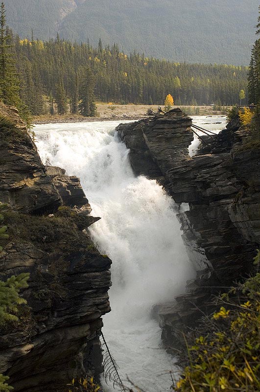 080919_049_athabascafalls