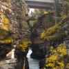 080919_060_athabascafalls