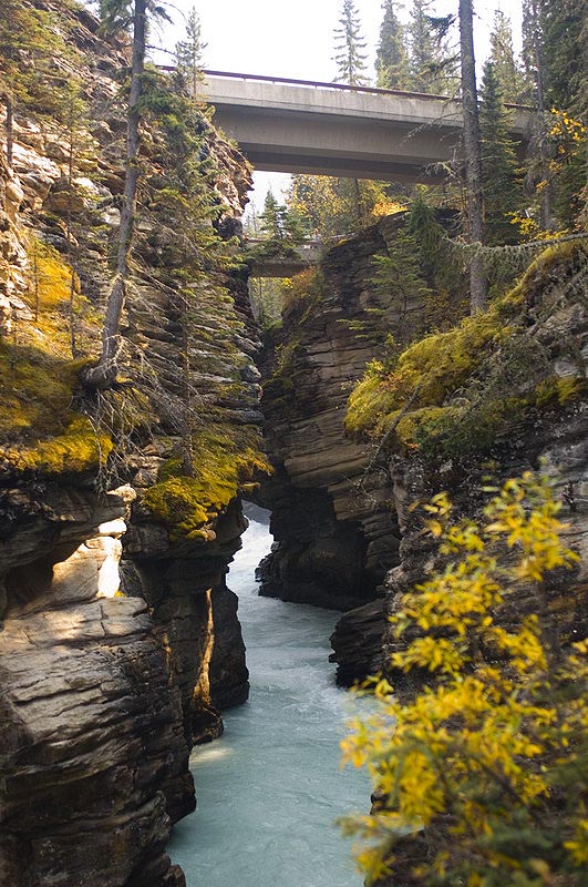 080919_060_athabascafalls